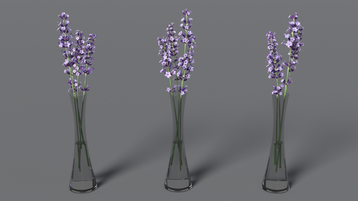 3D Vase with Lavender Flowers