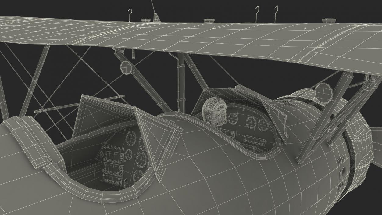 3D Spirit of 30A Coastal Biplane YMF-5 Piloted model