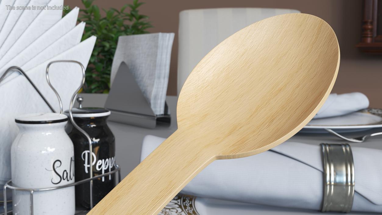 3D Disposable Wooden Spoon model