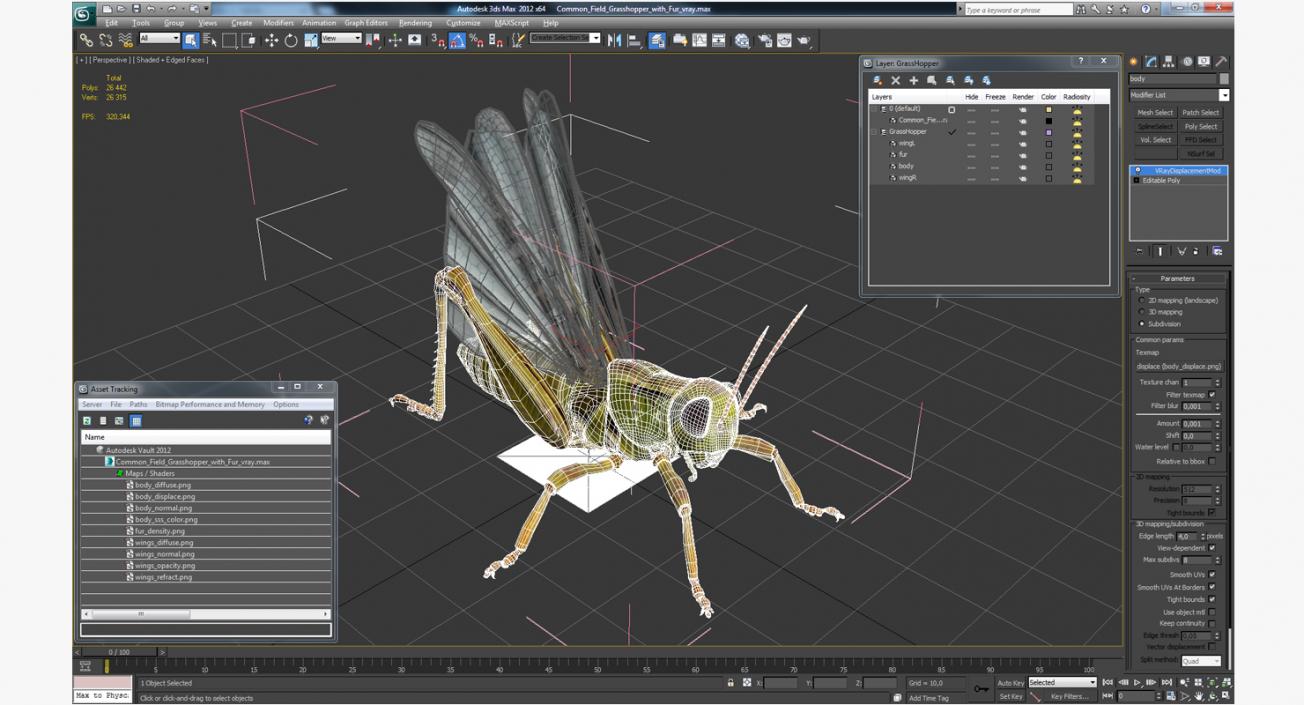 3D Common Field Grasshopper with Fur model