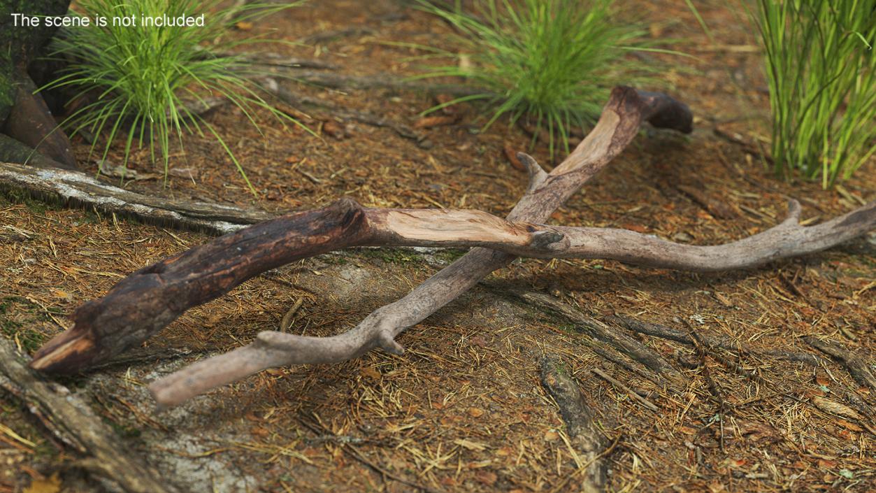 3D Realistic Tree Branch