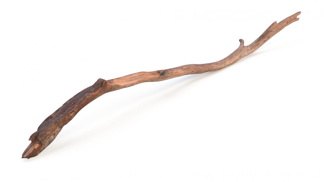 3D Realistic Tree Branch