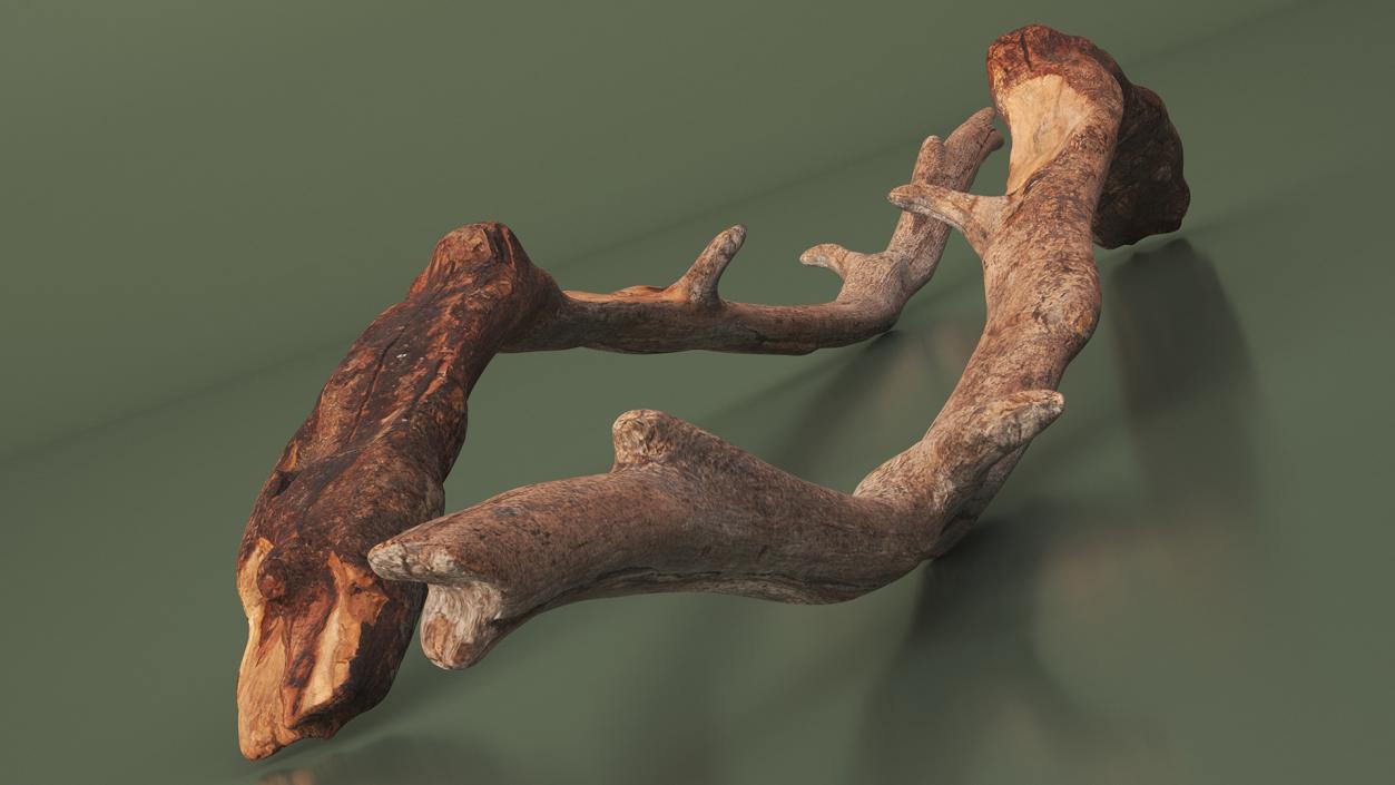 3D Realistic Tree Branch