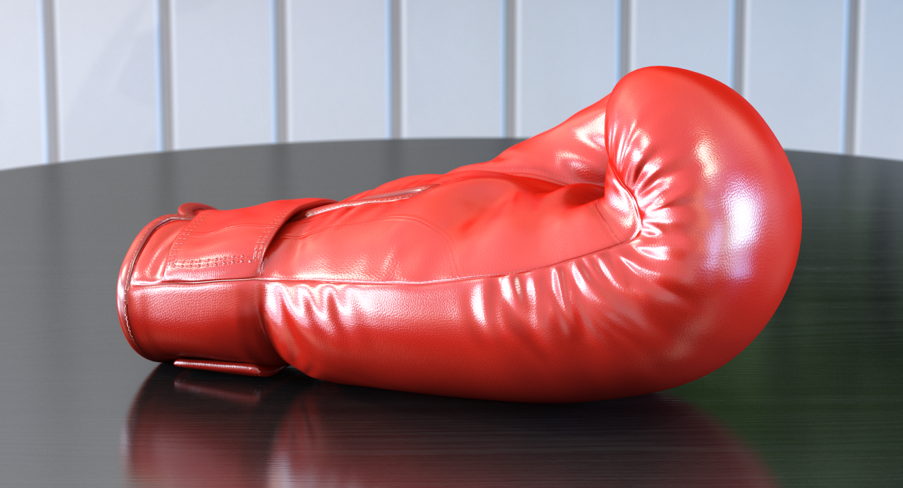 Boxing Glove Rigged 3D model