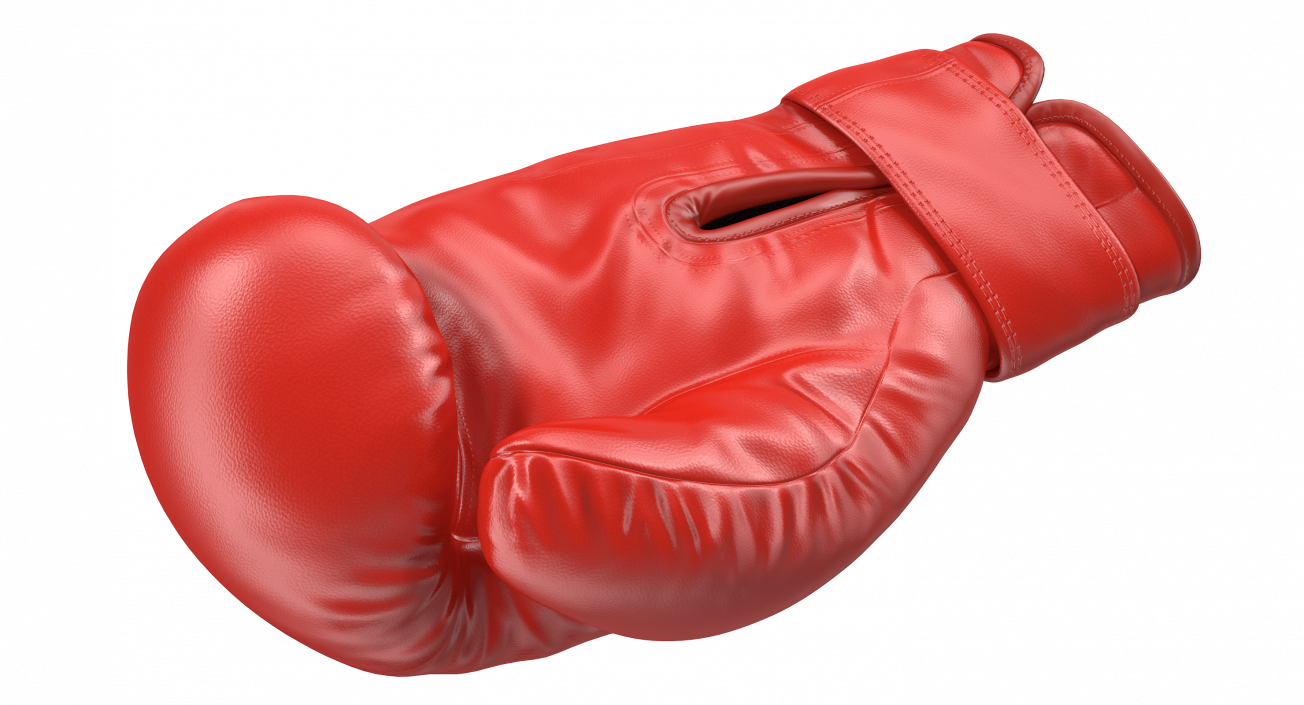 Boxing Glove Rigged 3D model