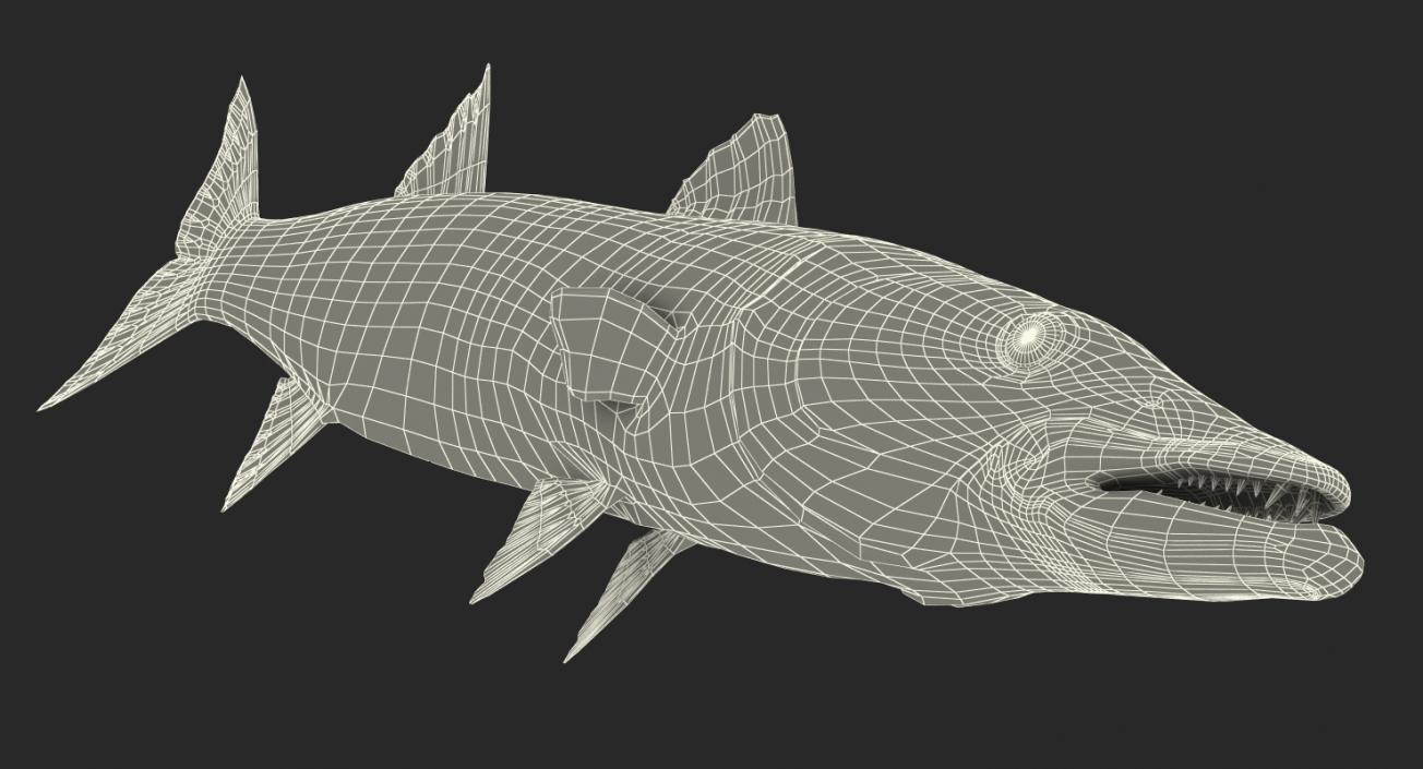 Fishes 3D Models Collection 3 3D model