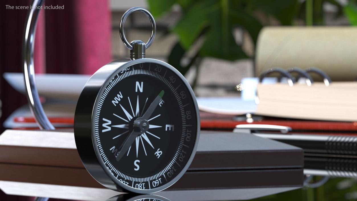 3D Compass in Steel Case