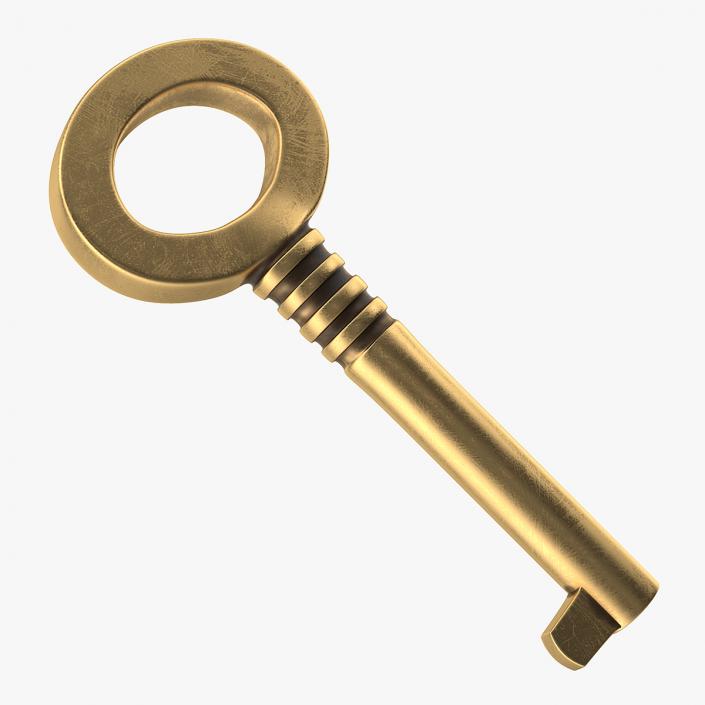 3D Brass Skeleton Key model