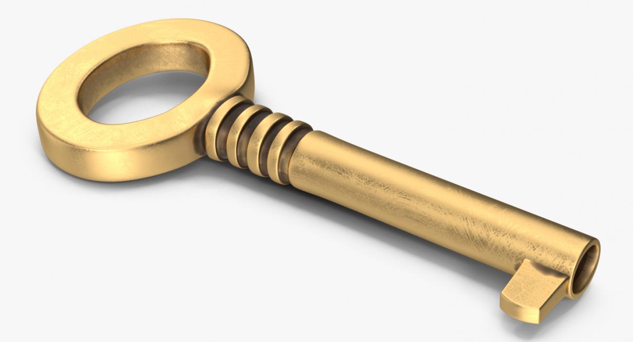 3D Brass Skeleton Key model