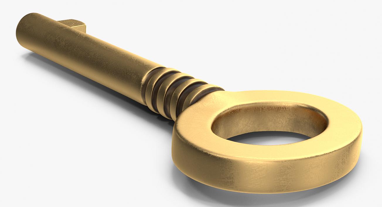 3D Brass Skeleton Key model