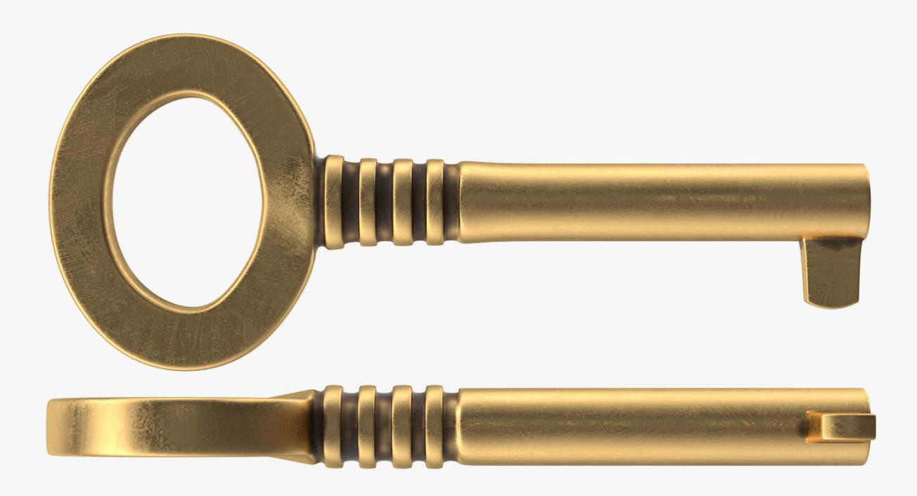 3D Brass Skeleton Key model