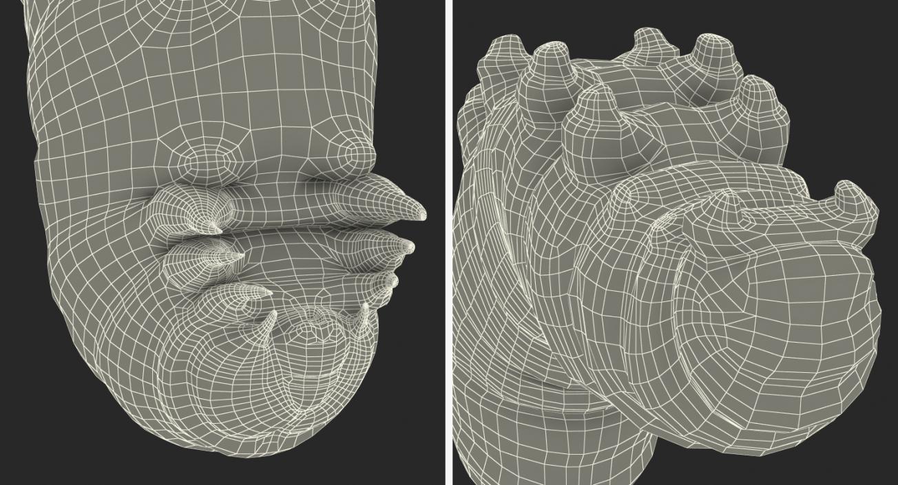 3D Papilio Machaon Caterpillar reeps model