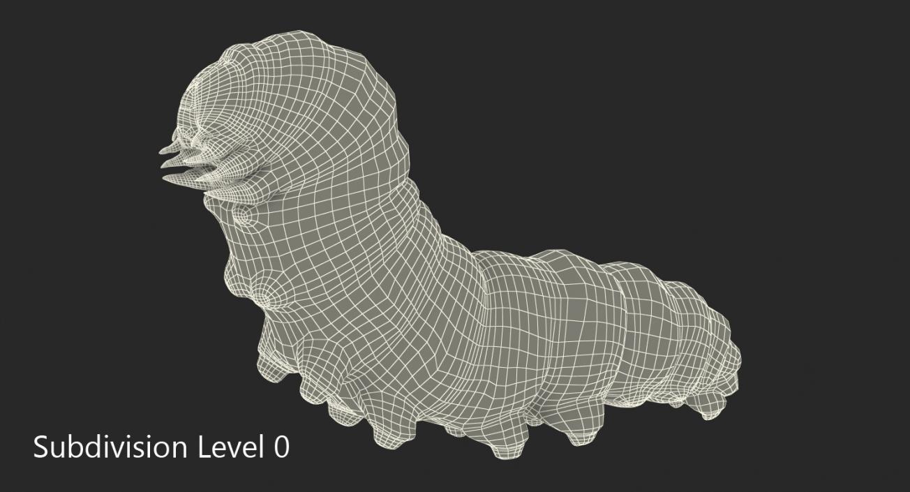 3D Papilio Machaon Caterpillar reeps model