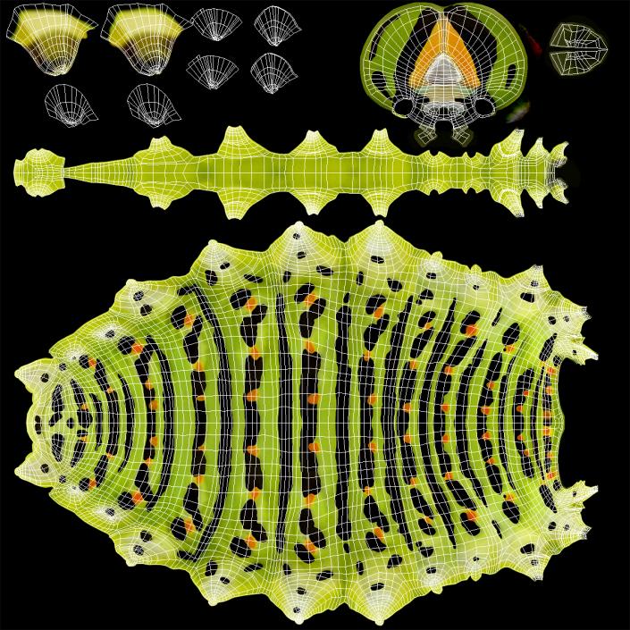 3D Papilio Machaon Caterpillar reeps model