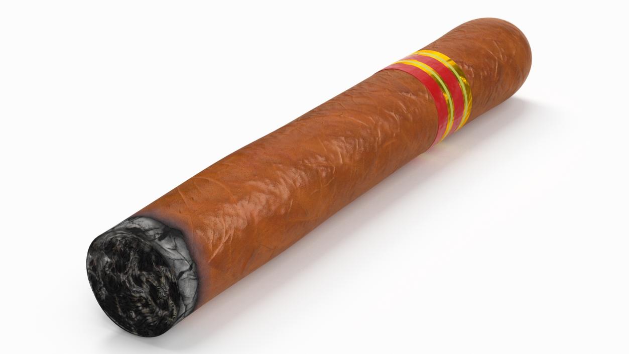 3D Cigar Thick Lighted 2