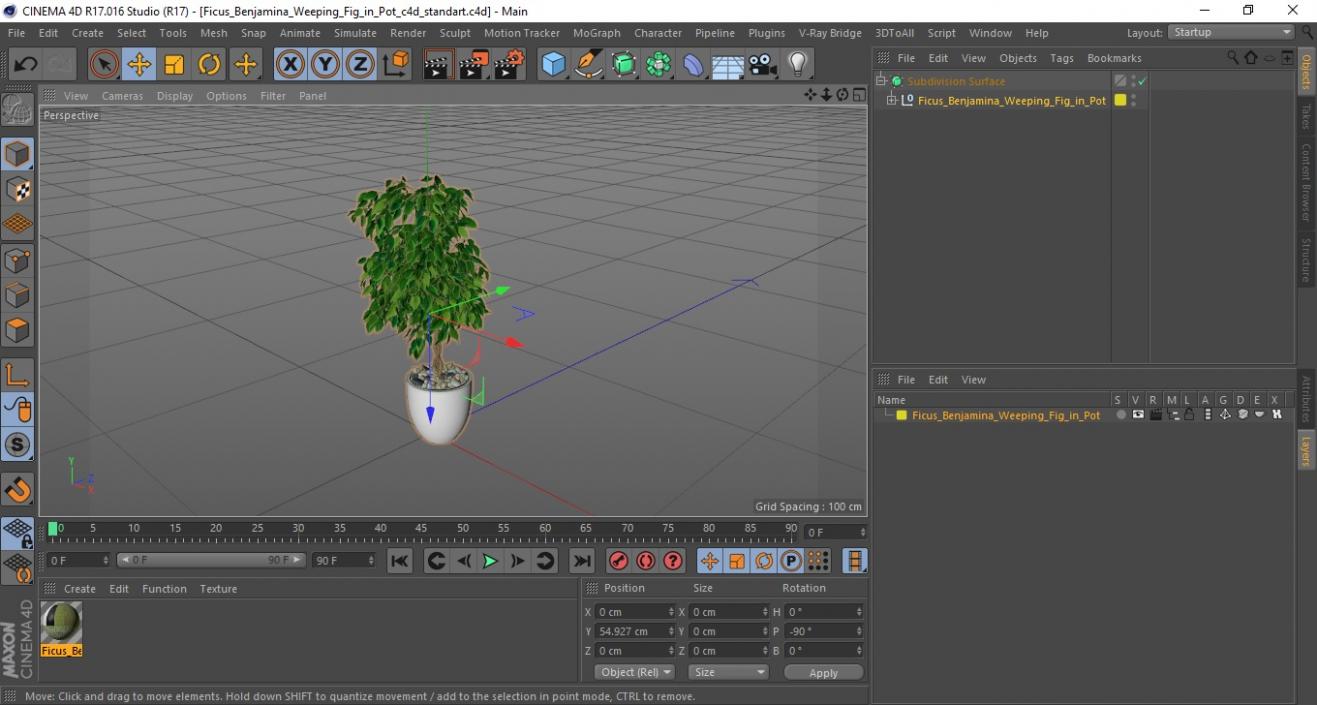 Ficus Benjamina Weeping Fig in Pot 3D model