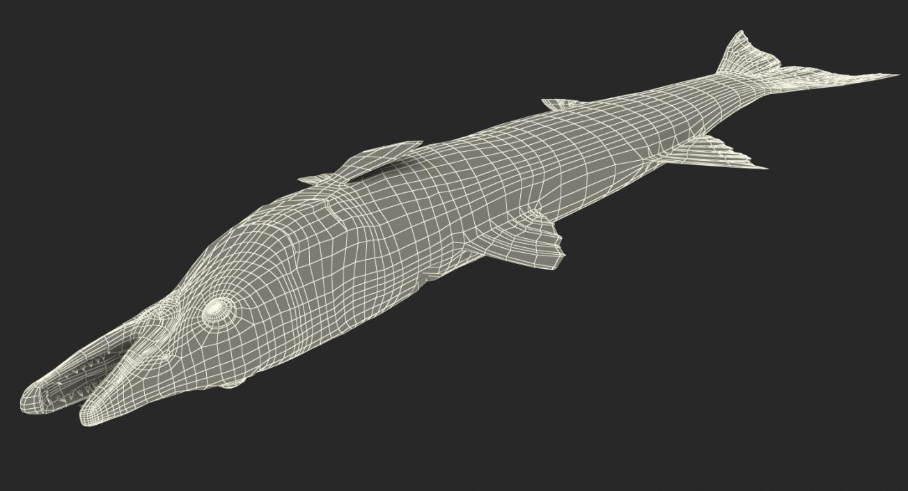 3D Barracuda Fish Lying on the Floor model