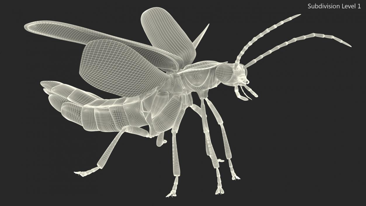 3D model Photinus Pyralis Standing Pose