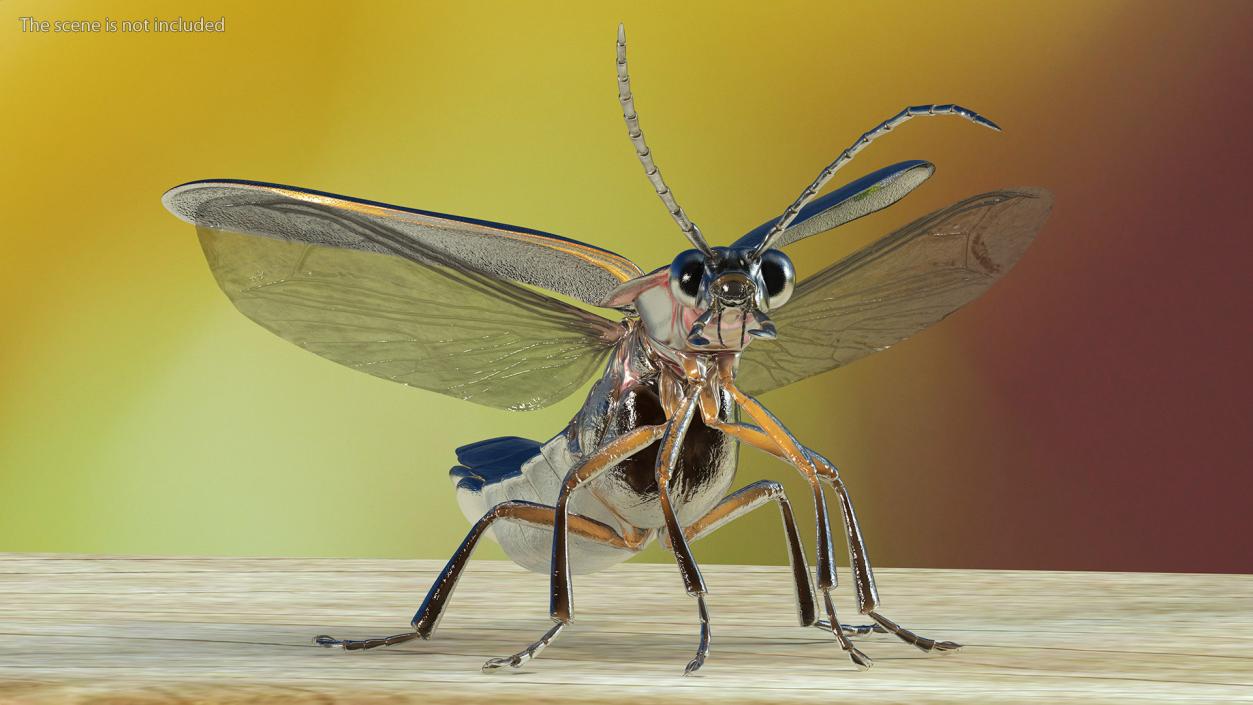 3D model Photinus Pyralis Standing Pose