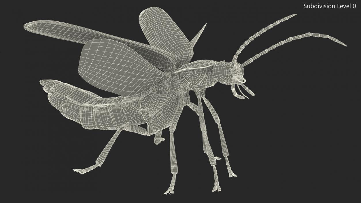 3D model Photinus Pyralis Standing Pose