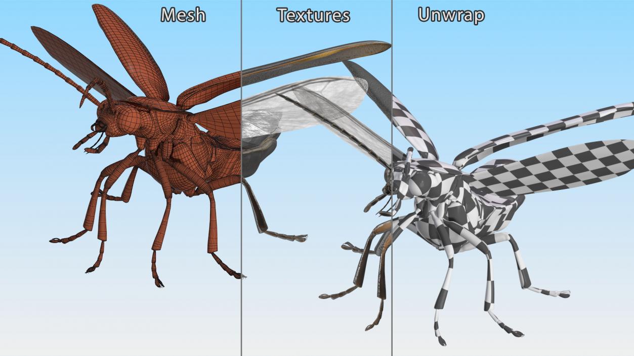 3D model Photinus Pyralis Standing Pose