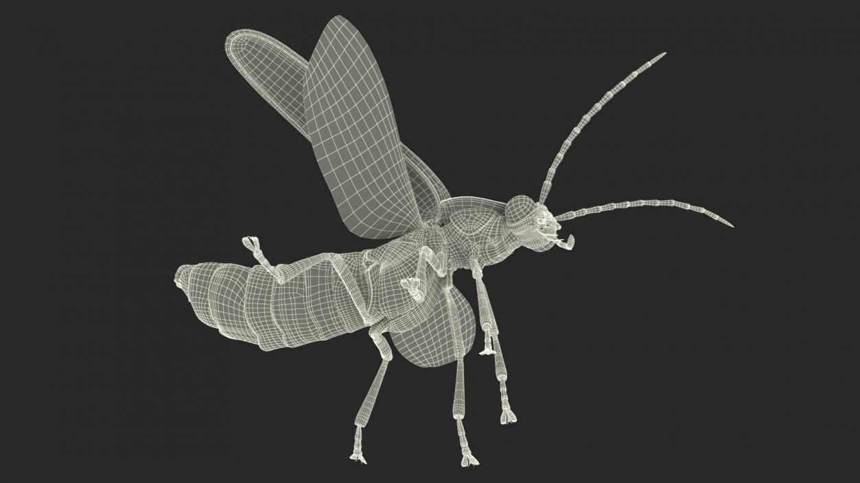 3D model Photinus Pyralis Standing Pose