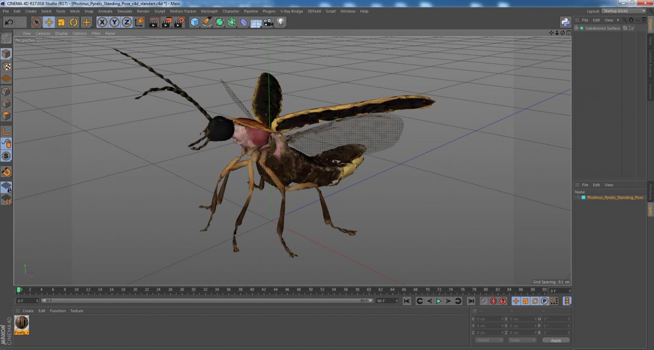 3D model Photinus Pyralis Standing Pose