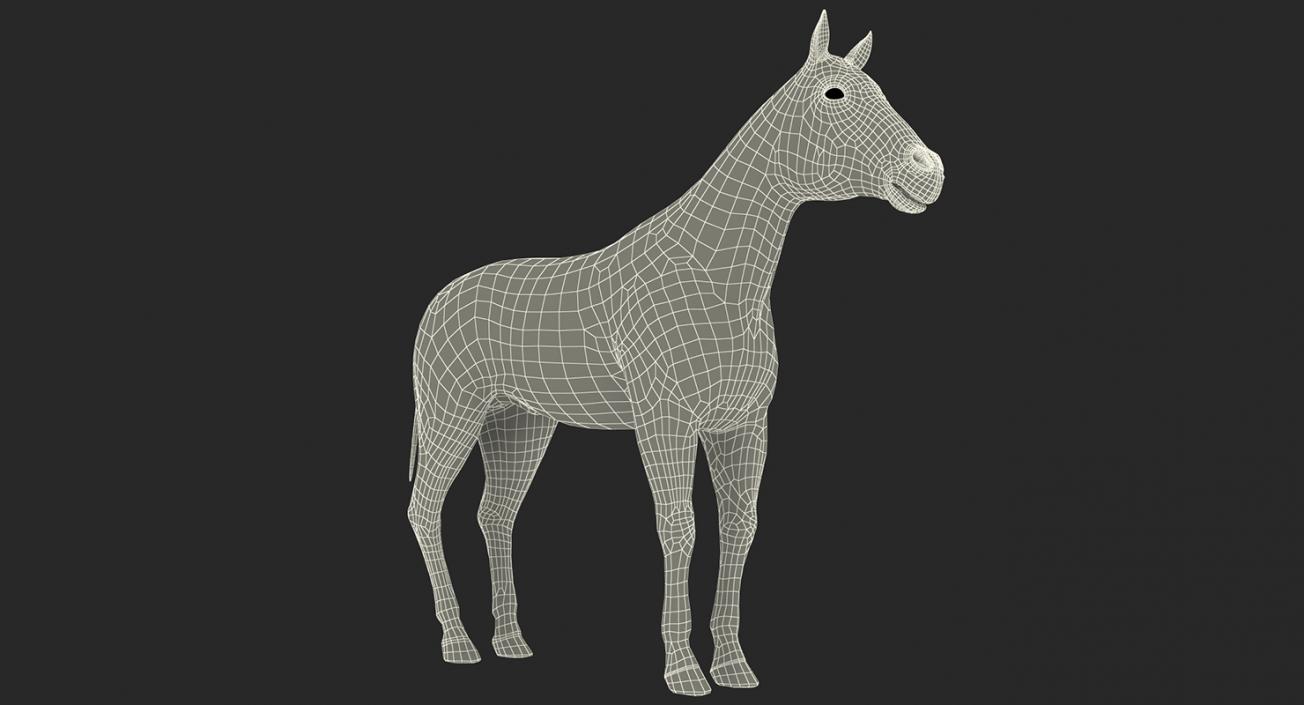 Horse and Skeleton 3D Models Collection 3D model