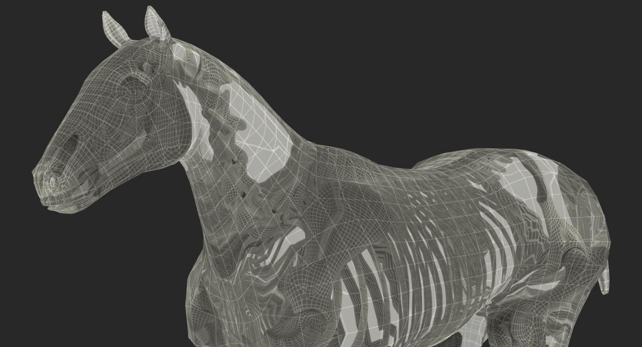 Horse and Skeleton 3D Models Collection 3D model