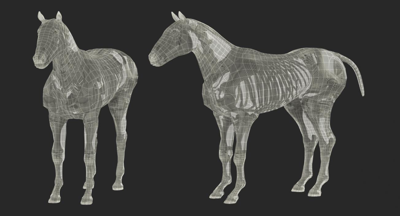 Horse and Skeleton 3D Models Collection 3D model