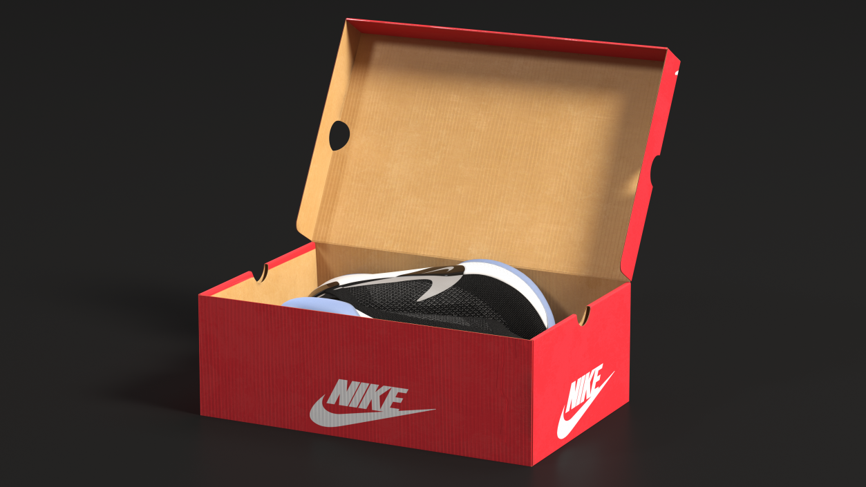 Shoe Box with Nike Sneakers 3D