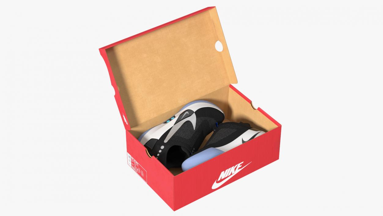 Shoe Box with Nike Sneakers 3D