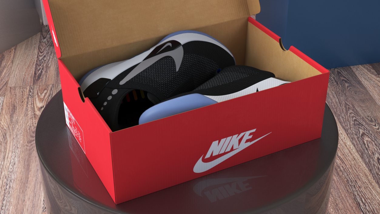 Shoe Box with Nike Sneakers 3D