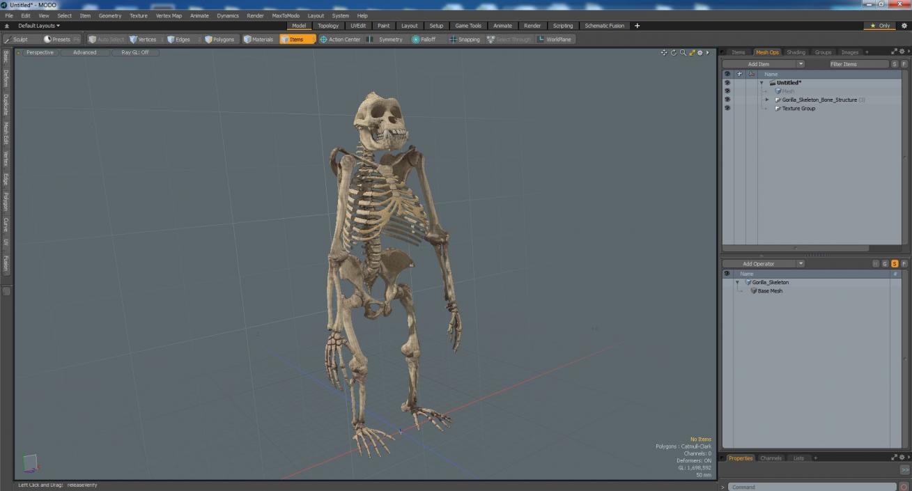 3D Gorilla Skeleton Bone Structure