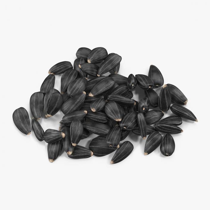 3D Black Sunflower Seeds Pile