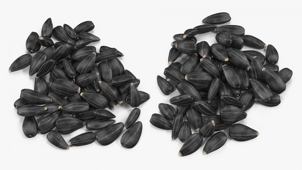 3D Black Sunflower Seeds Pile