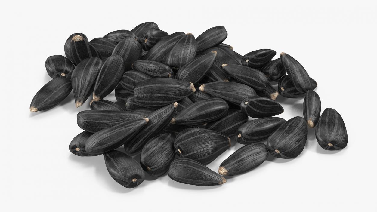 3D Black Sunflower Seeds Pile