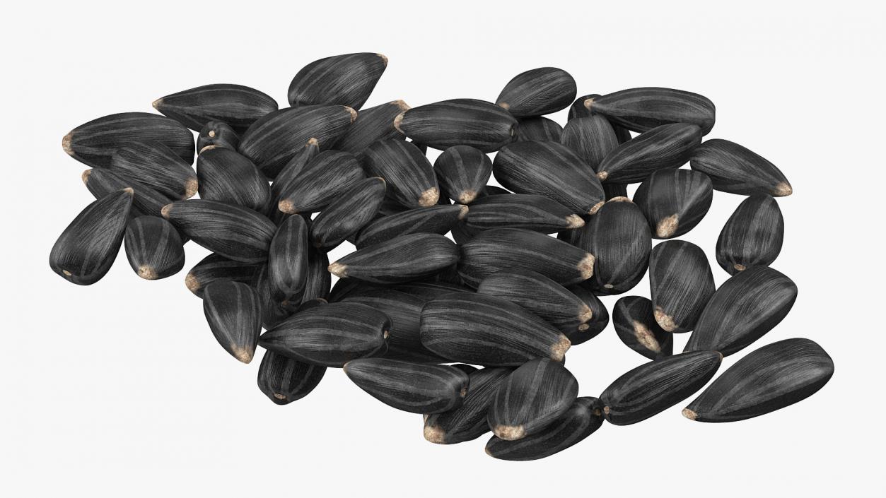 3D Black Sunflower Seeds Pile