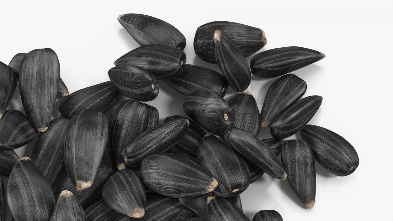 3D Black Sunflower Seeds Pile