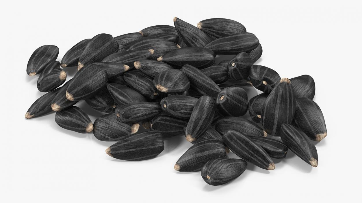 3D Black Sunflower Seeds Pile