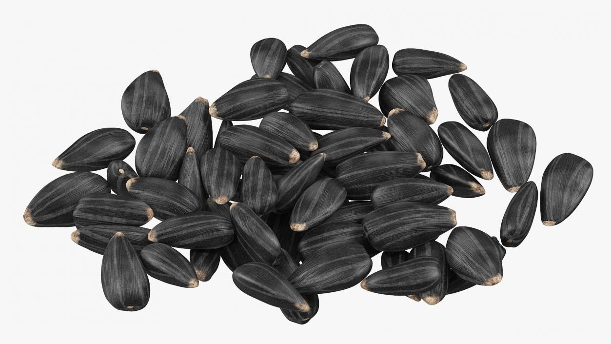 3D Black Sunflower Seeds Pile