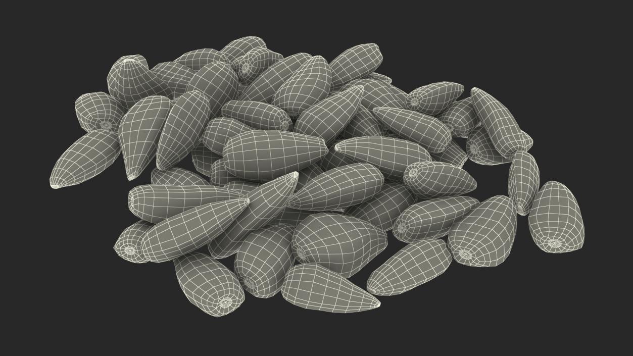 3D Black Sunflower Seeds Pile