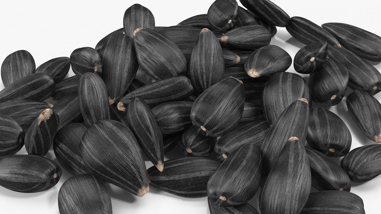 3D Black Sunflower Seeds Pile