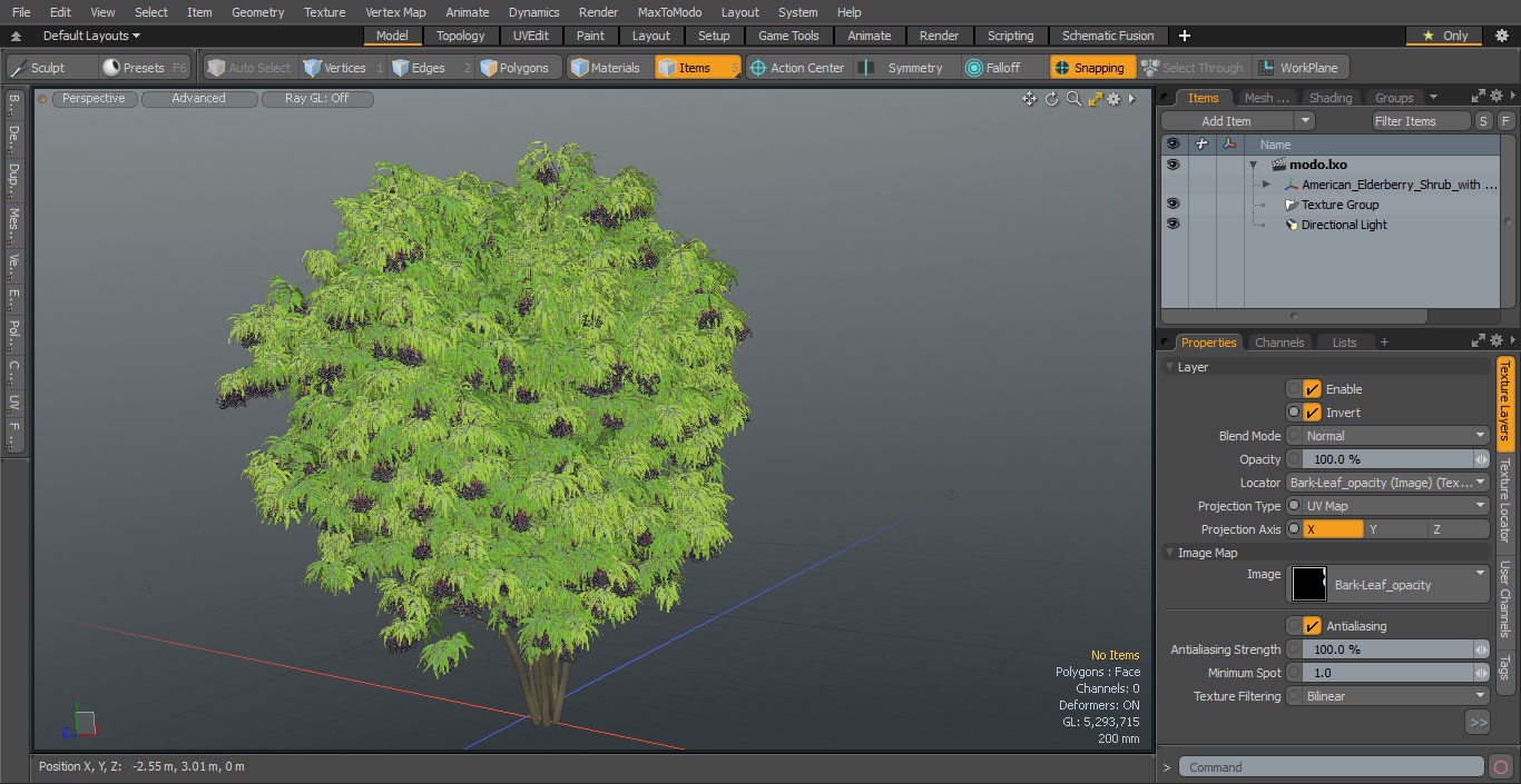 3D American Elderberry Shrub with Berries model