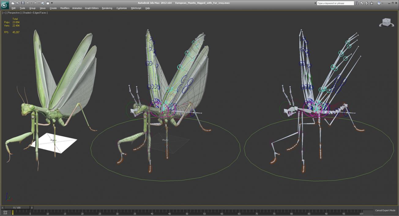 3D European Mantis Rigged with Fur