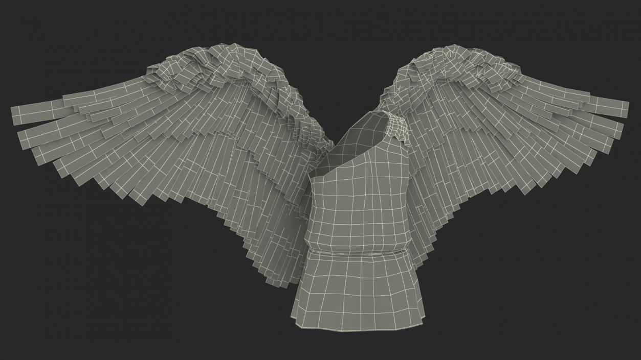 Cupid Winged Suit 3D