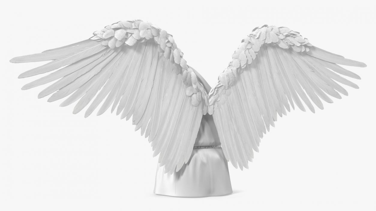 Cupid Winged Suit 3D