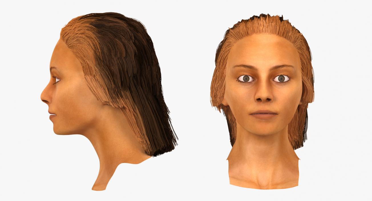 3D Arabian Woman Head model