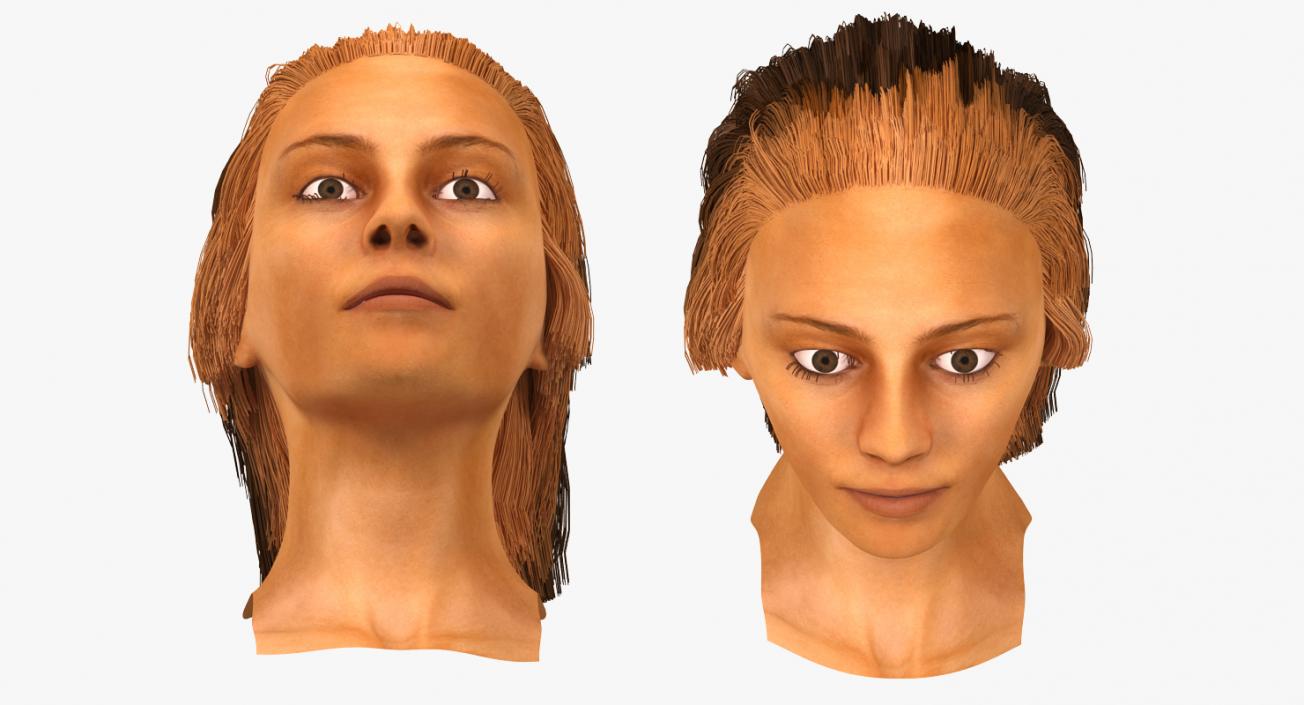 3D Arabian Woman Head model