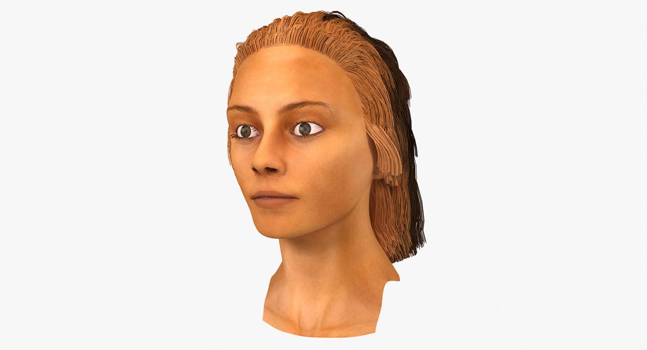 3D Arabian Woman Head model